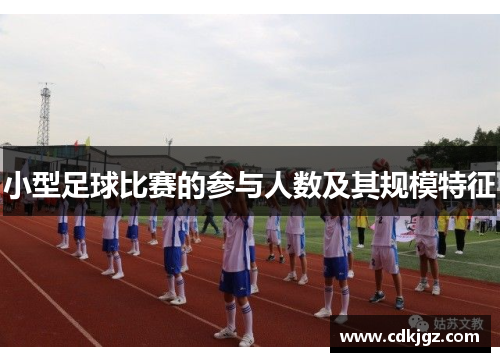小型足球比赛的参与人数及其规模特征