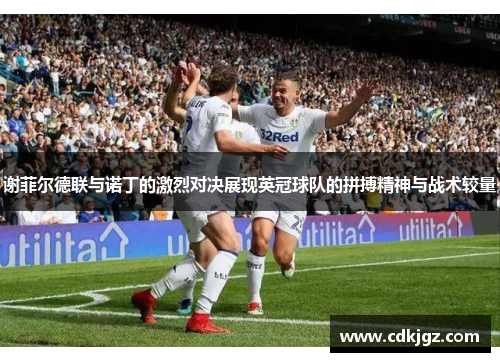 谢菲尔德联与诺丁的激烈对决展现英冠球队的拼搏精神与战术较量