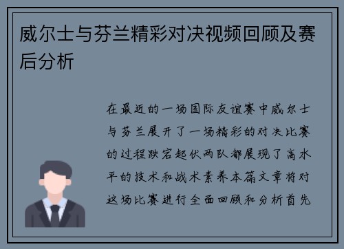 威尔士与芬兰精彩对决视频回顾及赛后分析